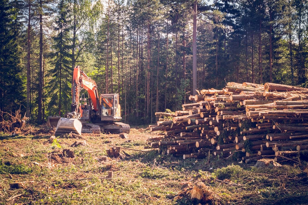 Excavadora de maquinaria pesada en un área forestal
